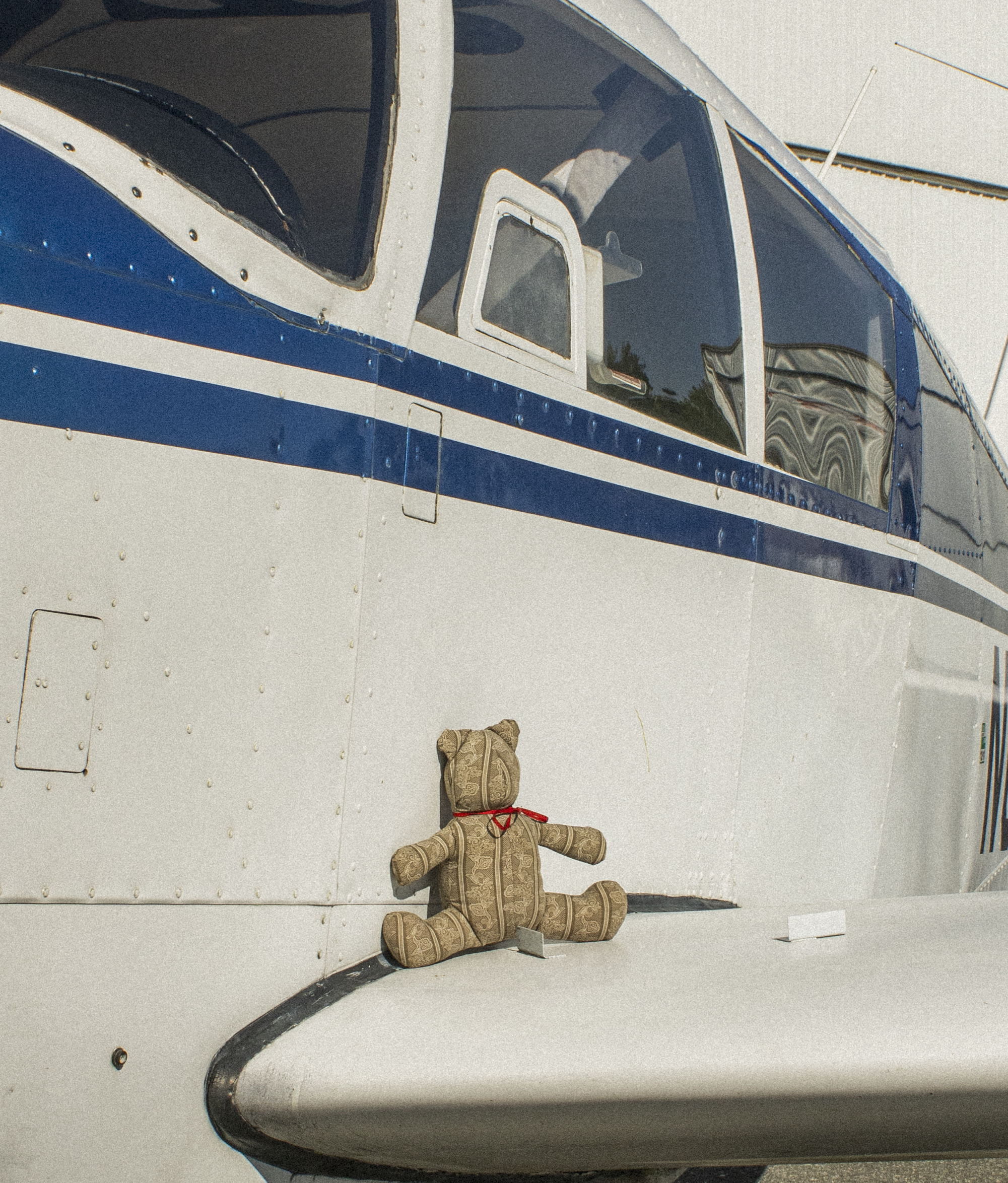 Jarebear with Fly High airplane